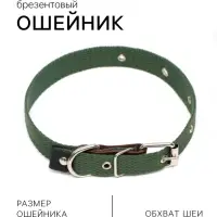 Ошейник брезентовый однослойный, 52&times;2 см, ОШ 25-45 см, тёмно-зелёный