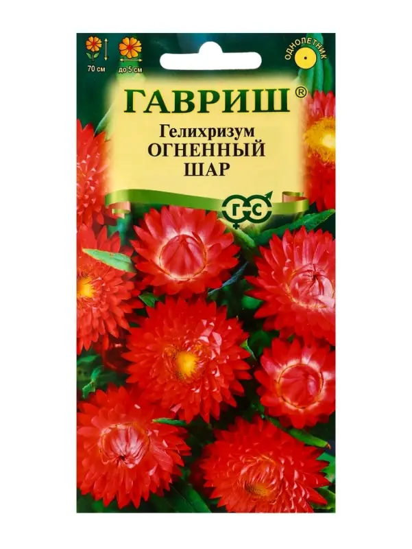 Семена цветов Гелихризум Огненный шар* 0,1 г