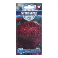 Семена цветов Астра "Гигант бордо", ц/п, однолетняя, серия Русский богатырь, 0,05 г Семена цветов Астра "Гигант бордо", ц/п, однолетняя, серия Русский богатырь, 0,05 г