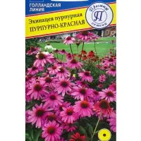 Семена цветов Эхинацея "Пурпурно красная", 20 шт.