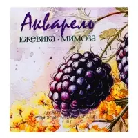 Аромасаше &laquo;Акварель&raquo; ежевика, мимоза, 10 г