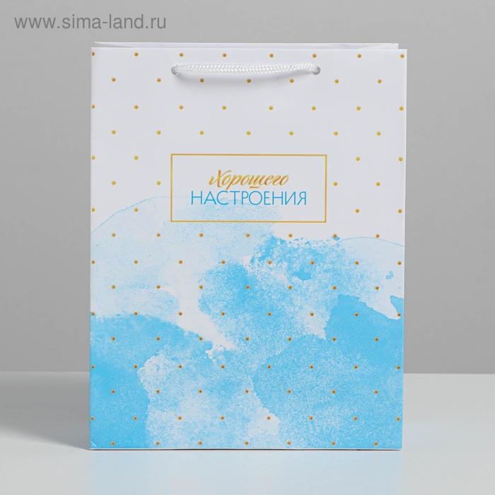 Пакет подарочный ламинированный вертикальный, упаковка, «Краски неба», MS 18 х 23 х 10 см