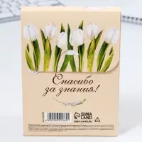 Набор: ежедневник А6, 120 листов и фигурная свеча «Учителю, который вдохновляет»