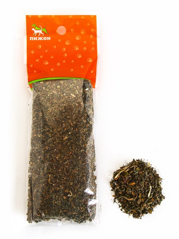 Кошачья мята  Кошачья мята "Пижон", 20 г