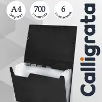 Папка картотека А4, Calligrata, 6 отделений, пластиковая, 700 мкм, чёрная
