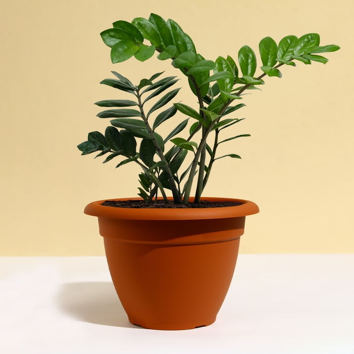 Горшок для цветов, d = 35 см, 12 л, пластик, коричневый Горшок для цветов, d = 35 см, 12 л, пластик, коричневый