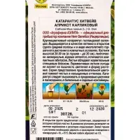 Семена цветов Катарантус Хитвейв априкот карликовый  Спецсерия Hem Genetics, Ц/П,5 шт.