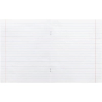 Тетрадь линия 12л. Авто и пэйзаж, ассорти, 2 (12-5571)