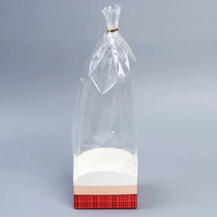 Пакет с коробкой «Новый год», 12 х 12 х 40 см Пакет с коробкой «Новый год», 12 х 12 х 40 см