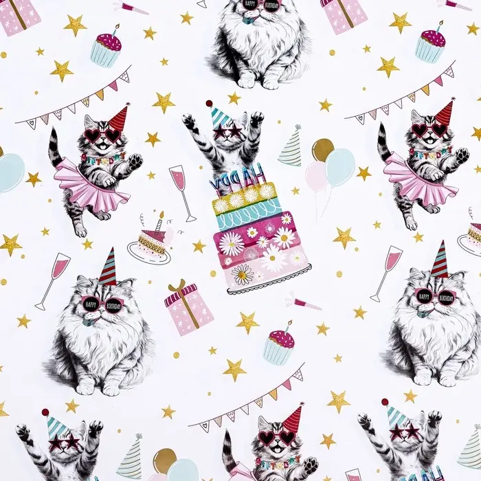 Бумага упаковочная, глянцевая Бумага упаковочная, глянцевая "Танцевальные поздравления", 50 х 70 см