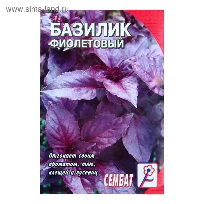 Семена Базилик фиолетовый Ереванский, 0,2 г Семена Базилик фиолетовый Ереванский, 0,2 г