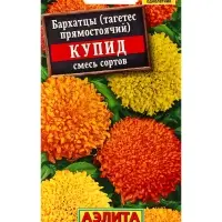 Семена цветов Бархатцы Купид хризантемовидные, смесь сортов , Ц/П,0,1 г Семена цветов Бархатцы Купид хризантемовидные, смесь сортов , Ц/П,0,1 г