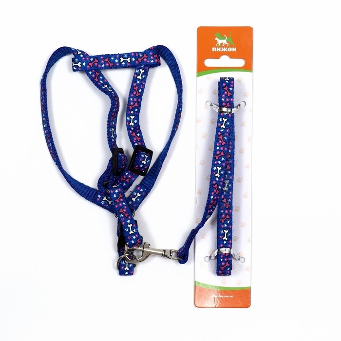 Комплект  Комплект "Звёздные косточки", ширина 1 см, поводок 120 см, шлейка 23-35 см, синий