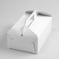 Коробка на вынос, белая, 25 х 16 х 9 см