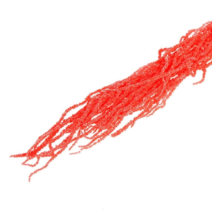 Сухие цветы амаранта, 100 г, размер листа: от 50 до 60 см, цвет розовый Сухие цветы амаранта, 100 г, размер листа: от 50 до 60 см, цвет розовый