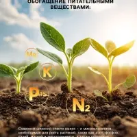 Органическое удобрение &laquo;Биогумус&raquo; Рецепты дедушки Никиты, концентрат, канистра 3 л