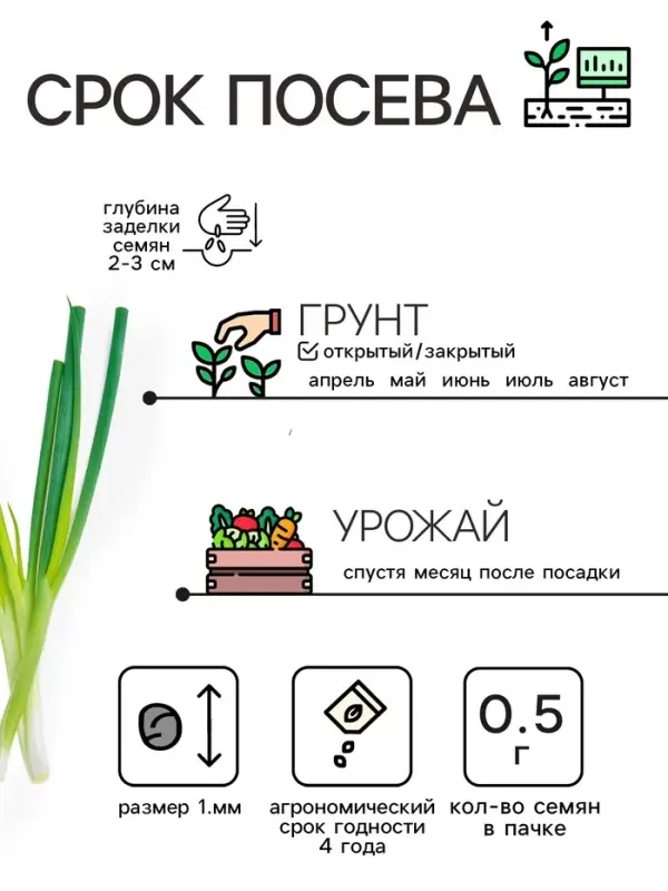 Семена Лук-батун &laquo;Русский зимний&raquo;, 0.5 г, многолетник, &laquo;Рецепты дедушки Никиты&raquo;