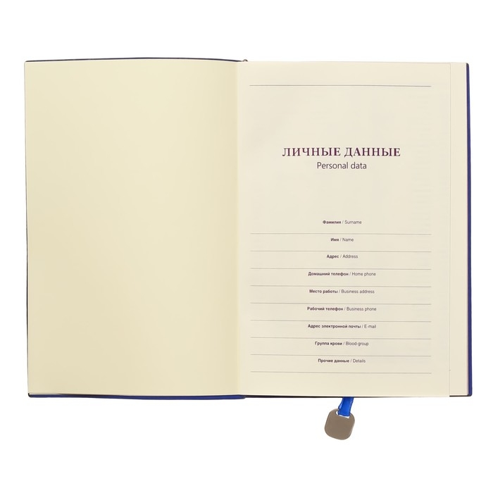 Ежедневник недатированный А5, 120 листов в клетку, обложка ЛАЙТ, МИКС Ежедневник недатированный А5, 120 листов в клетку, обложка ЛАЙТ, МИКС