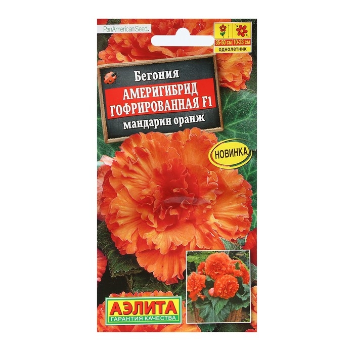Семена Цветов Бегония  Семена Цветов Бегония "Америгибрид гофрированная", F1, мандарин оранж, пробирка, 5 шт