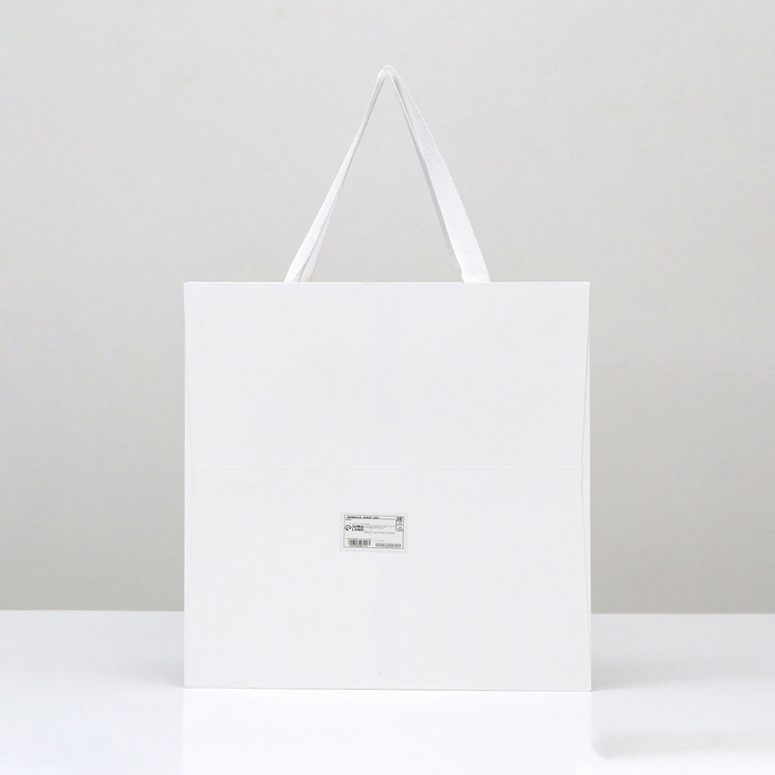 Пакет подарочный, крафт, с окном, «Белый», 30 х 30 х 30 см Пакет подарочный, крафт, с окном, «Белый», 30 х 30 х 30 см