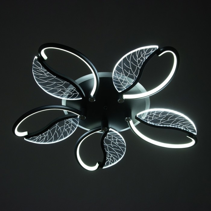 Люстра Люстра "Астрид" 5хLED 110Вт 3000-6000К RGB черный 65х65х8см