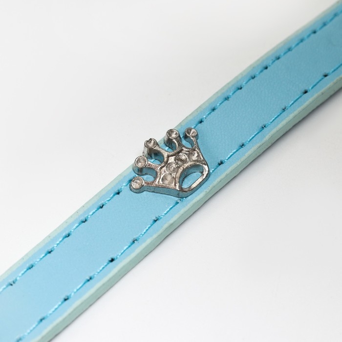 Ошейник Ошейник "Корона" с металлическим декором и со стразами, 36 х 1,4 см, ОШ 24-31, голубой