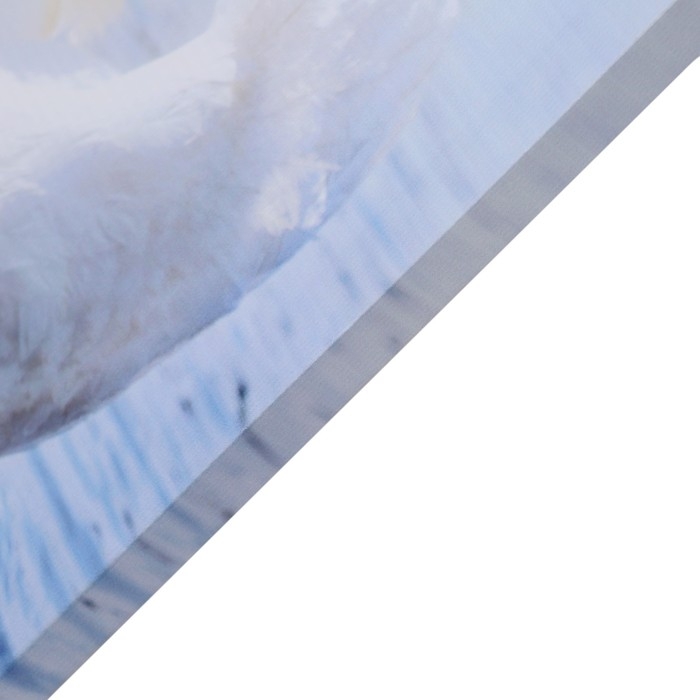 Картина Картина "Лебединая пара" 50*70 см