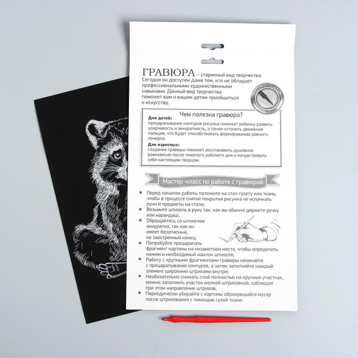 Гравюра на подложке «Енот» с металлическим эффектом «серебро» А4 Гравюра на подложке «Енот» с металлическим эффектом «серебро» А4