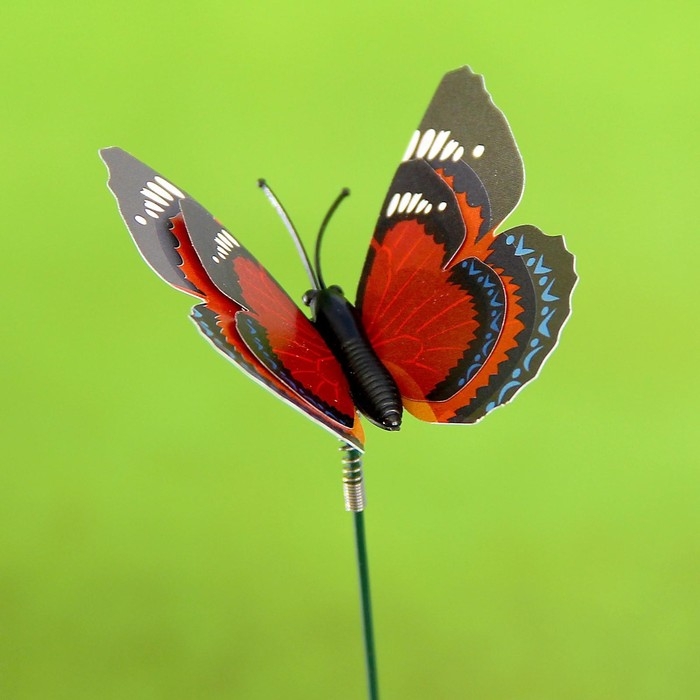 Штекер Штекер "Бабочка Дельфиус" 25см, набор 6шт, МИКС