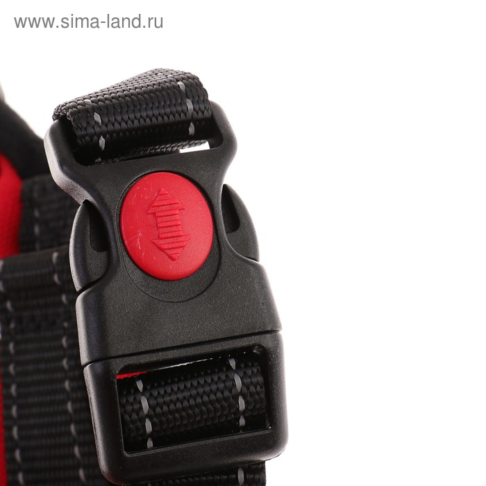 Шлейка К7 мягкая светоотражающая, размер S, ОГ 44-55 см, вес 5-9 кг, красная Шлейка К7 мягкая светоотражающая, размер S, ОГ 44-55 см, вес 5-9 кг, красная