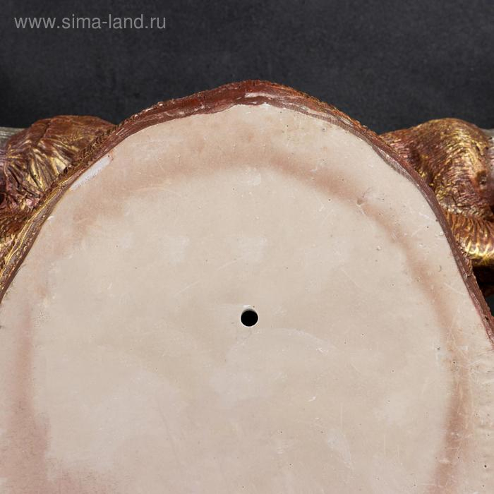 Подвесной декор Подвесной декор "Голова быка" 30х54х60см