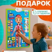 Обучающий плакат &laquo;Изучаем анатомию: Моё тело&raquo;