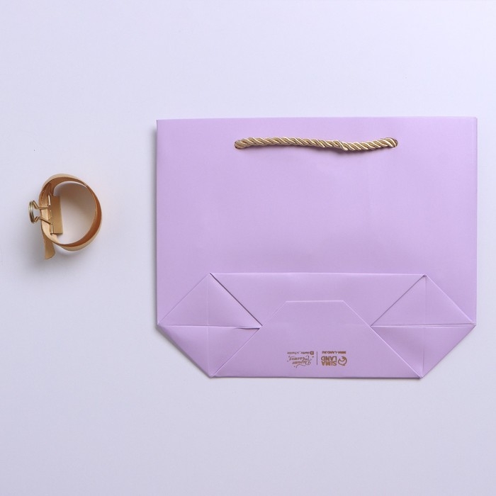 Пакет подарочный, упаковка, «Настроение», 14 х 17 х 7 см Пакет подарочный, упаковка, «Настроение», 14 х 17 х 7 см