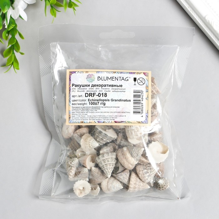 Ракушки декоративные  Ракушки декоративные "Zlatka" 100 г ± 7 г , 2.5 см