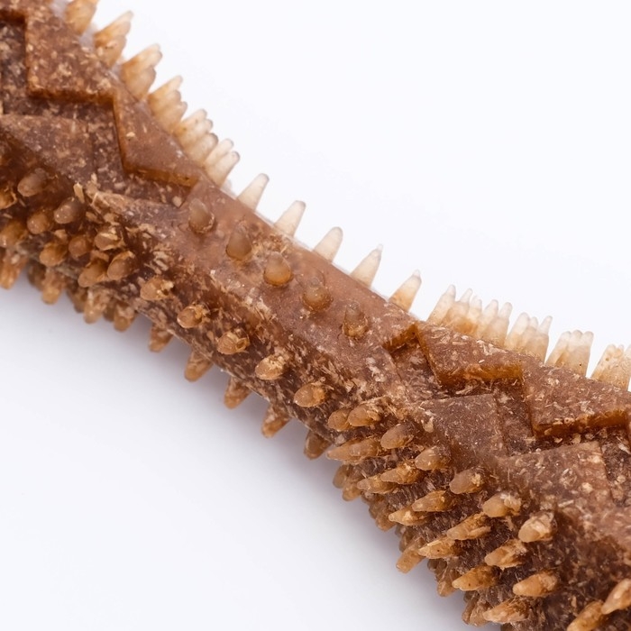 Игрушка для лакомств и сухого корма  Игрушка для лакомств и сухого корма "Чистилка", TPR+Бамбук, массажная, 14 х 3,5 см