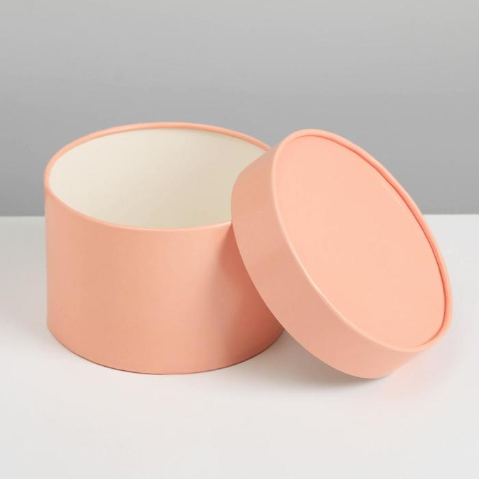 Набор шляпных коробок 3 в 1 пудровый, упаковка подарочная, 16 х 10, 14 х 9, 13 х 8,5 см Набор шляпных коробок 3 в 1 пудровый, упаковка подарочная, 16 х 10, 14 х 9, 13 х 8,5 см