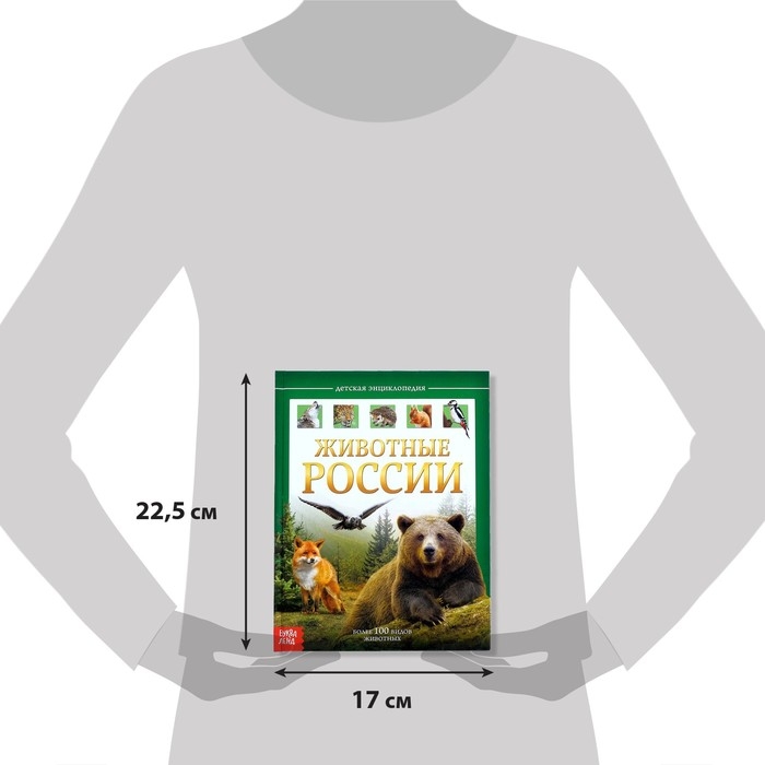 Детская энциклопедия в твёрдом переплёте «Животные России», 48 стр. Детская энциклопедия в твёрдом переплёте «Животные России», 48 стр.