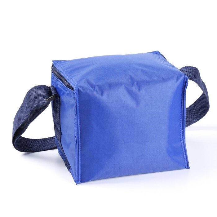 Термосумка под пиво, 17 x 22 х 18.5 см Термосумка под пиво, 17 x 22 х 18.5 см