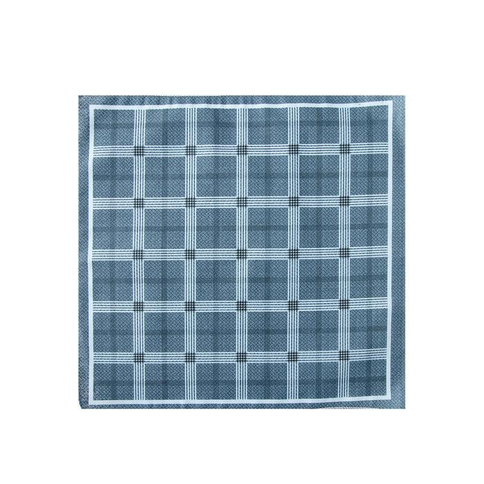 Платки носовые мужские Этель  Платки носовые мужские Этель "Серджио" 30*30 см,(набор 12 шт,) цв.серый, рис. МИКС, 100% хл