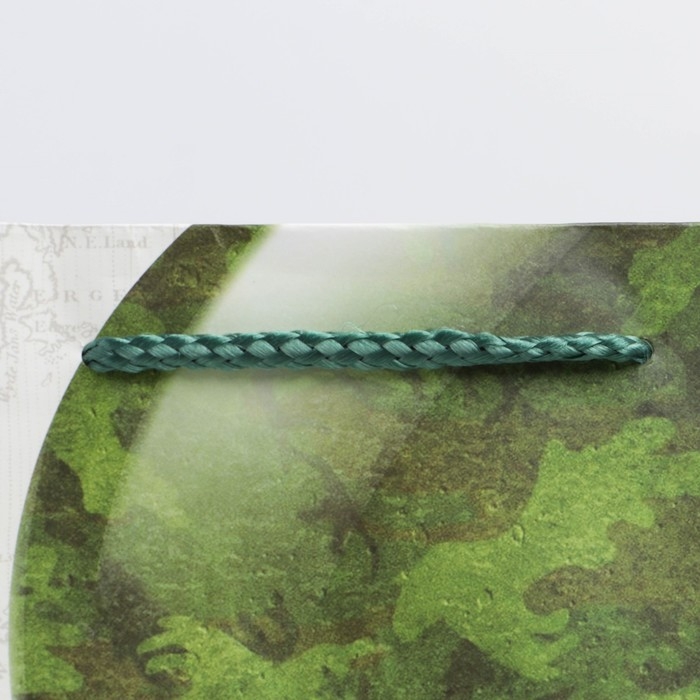 Пакет подарочный ламинированный вертикальный, упаковка, «С Праздником», ML 23 х 27 х 11,5 см