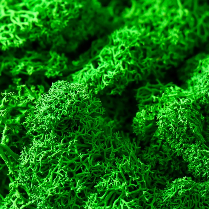 Кашпо бетонное Кашпо бетонное "Шестиугольник" высота 6,5 см черное со мхом (мох зеленый стабилизированный)