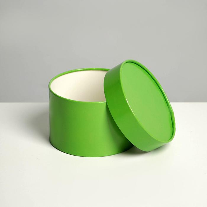 Набор шляпных коробок 3 в 1 салатовый, упаковка подарочная, 16 х 10, 14 х 9, 13 х 8,5 см Набор шляпных коробок 3 в 1 салатовый, упаковка подарочная, 16 х 10, 14 х 9, 13 х 8,5 см