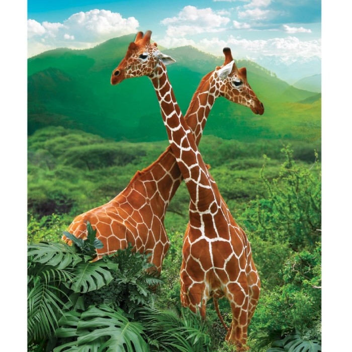 Алмазная мозаика с частичным заполнением на подрамнике «Жирафы», 50 x 60 см Алмазная мозаика с частичным заполнением на подрамнике «Жирафы», 50 x 60 см