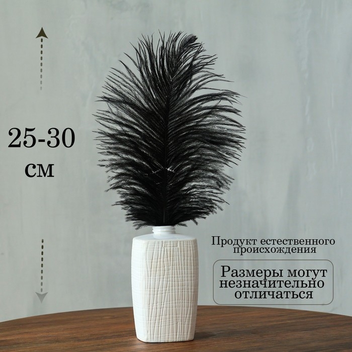 Перо для декора, размер: 25-30 см, цвет чёрный Перо для декора, размер: 25-30 см, цвет чёрный