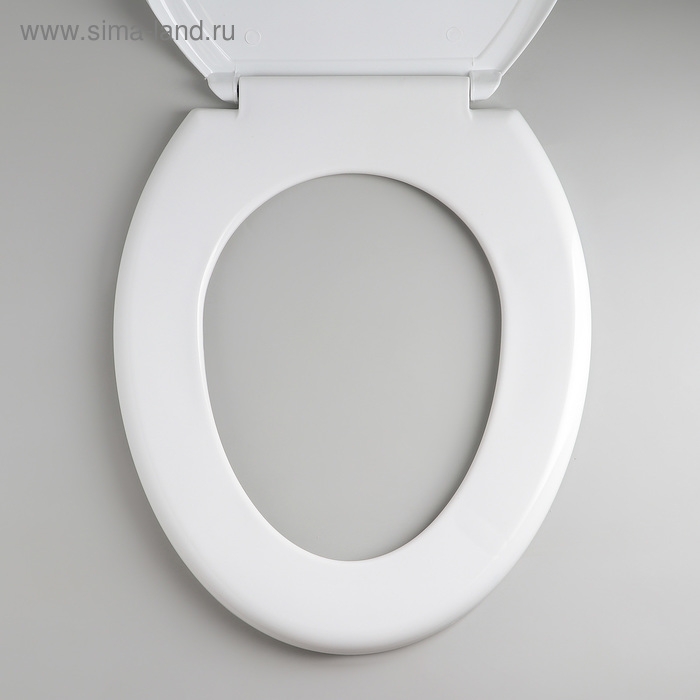 Сиденье для унитаза с крышкой Росспласт «Декор. Яблоко», 44,5×37 см, белое Сиденье для унитаза с крышкой Росспласт «Декор. Яблоко», 44,5×37 см, белое