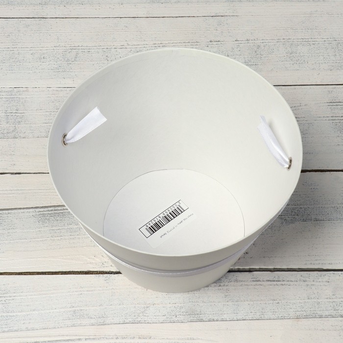 Переноска конус под цветы, белый 11,5 х 17 х 12 см Переноска конус под цветы, белый 11,5 х 17 х 12 см