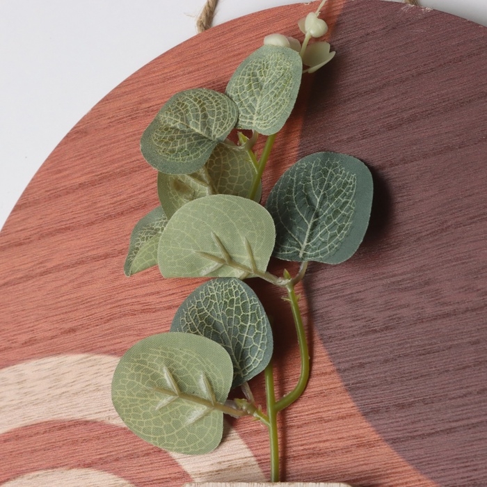 Крючки декоративные дерево Крючки декоративные дерево "Абстракция. Цветок и ваза" 1,5х23,4х23,4 см