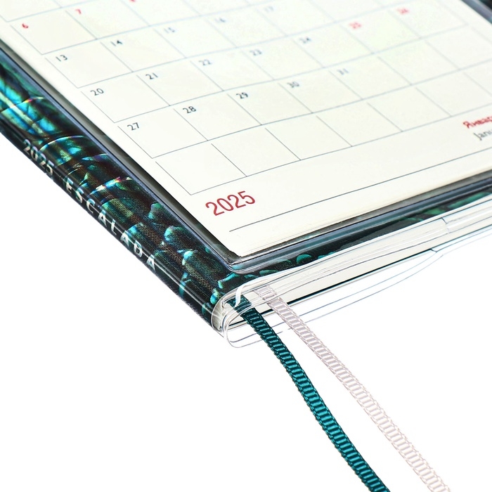 Еженедельник датир 2025г 180х127мм мягк обл ПВХ 64л ESCALADA ЗМЕЯ ЗЕЛЁНАЯ, кр бл 70 г/м² Еженедельник датир 2025г 180х127мм мягк обл ПВХ 64л ESCALADA ЗМЕЯ ЗЕЛЁНАЯ, кр бл 70 г/м²