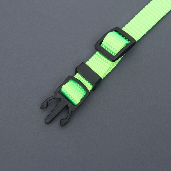 Ошейник кошачий Ошейник кошачий "Бантик" со стразами, 30 х 1 см, салатовый