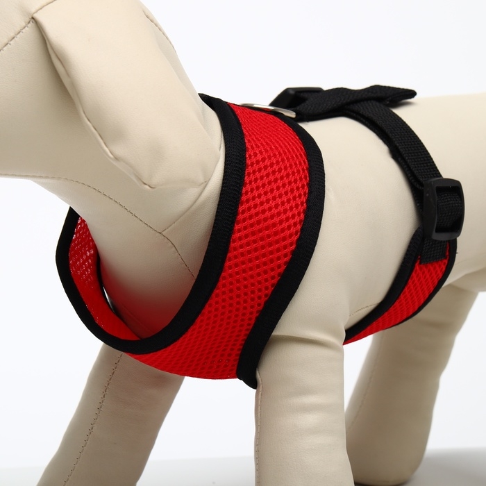 Шлейка мягкая из неопрена, размер M, ОШ 34 см, ОГ 32-42 см, красная Шлейка мягкая из неопрена, размер M, ОШ 34 см, ОГ 32-42 см, красная